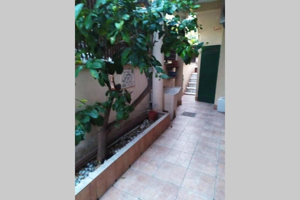 Apartment Appto Limone